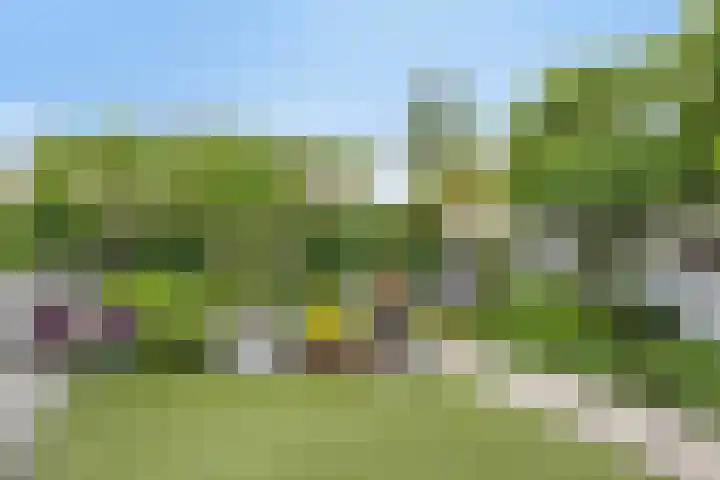 Gochsestraat 41 Huissen thumbnail 44