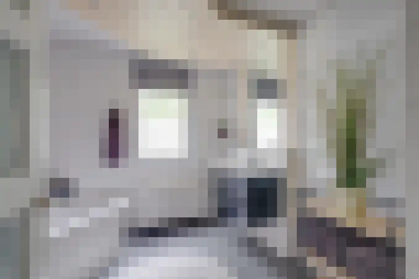 Godebaldstraat 10 Deventer thumbnail 33