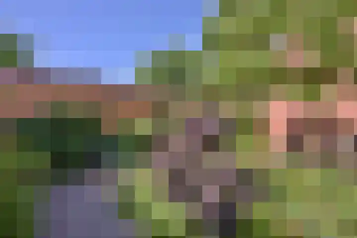 Godebaldstraat 16 Deventer thumbnail 16