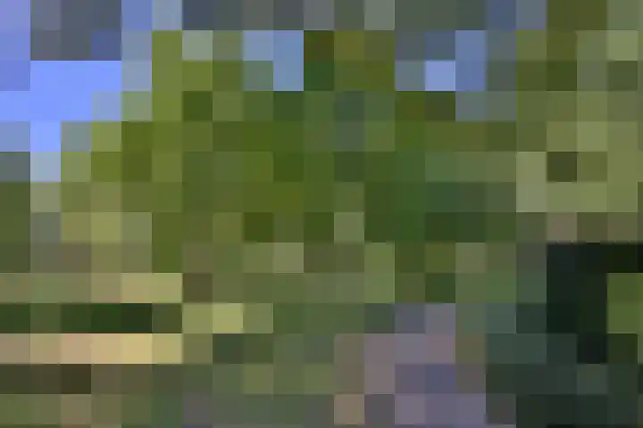 Godebaldstraat 16 Deventer thumbnail 31