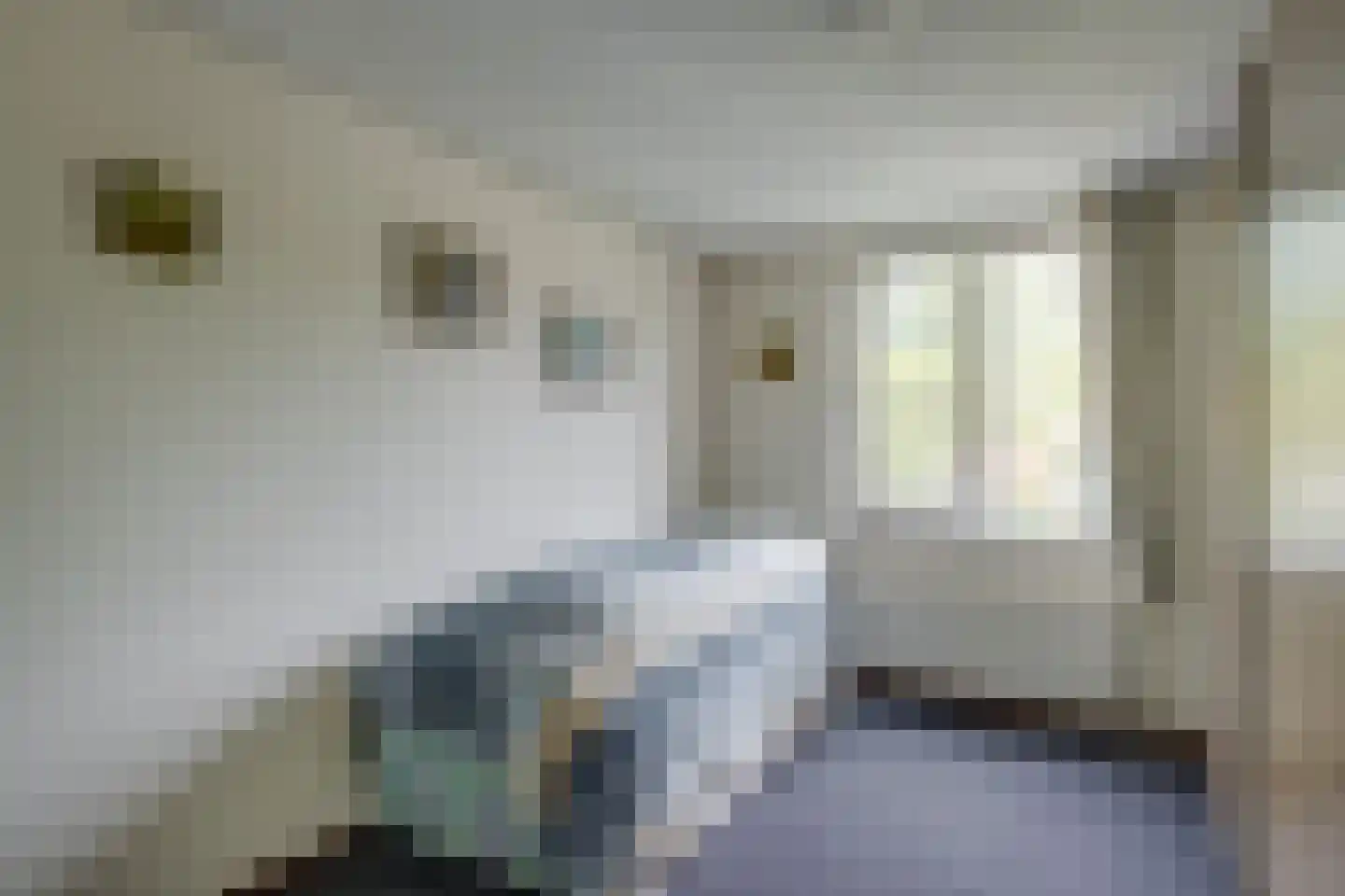 Godebaldstraat 25 Deventer thumbnail 31