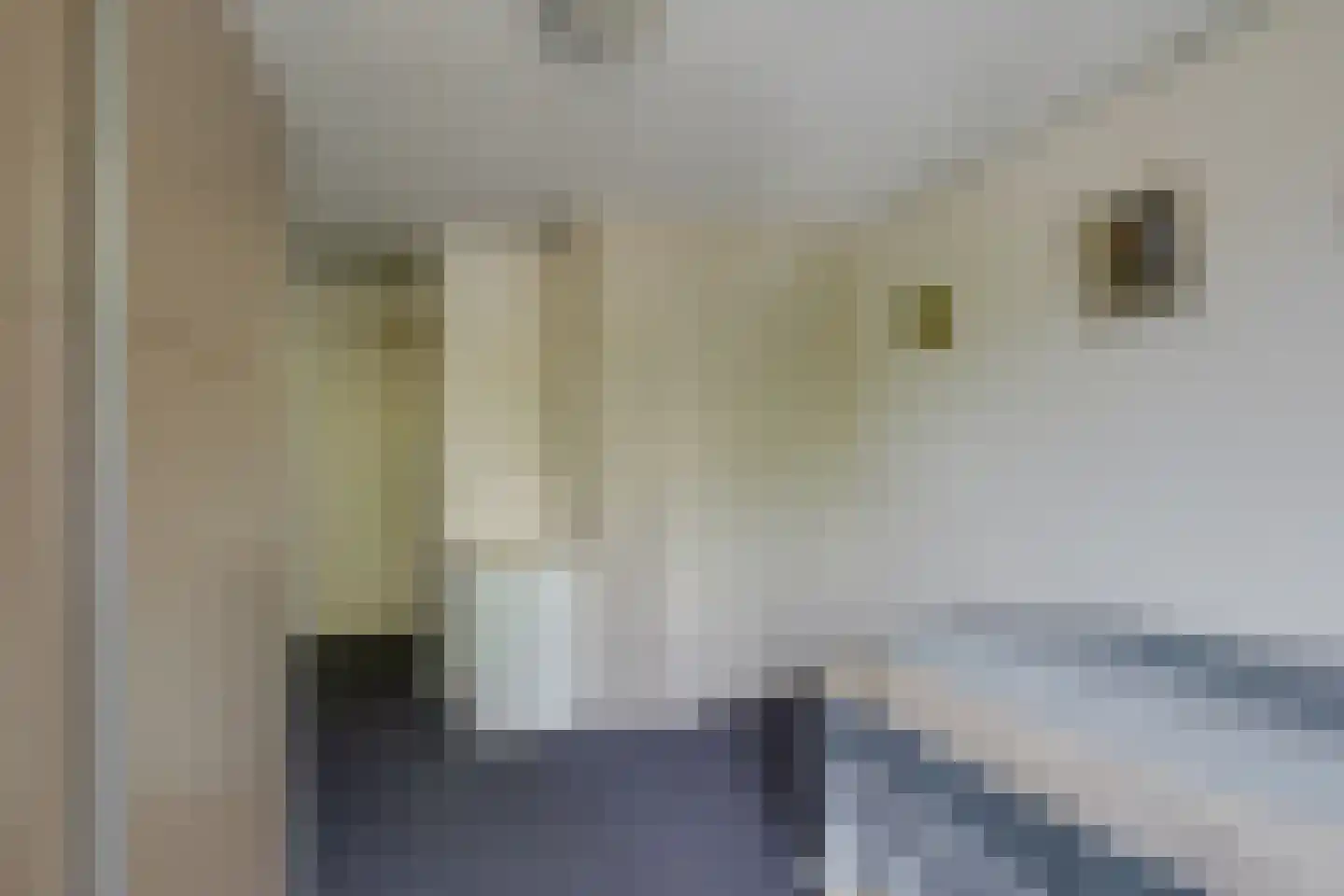 Godebaldstraat 25 Deventer thumbnail 32