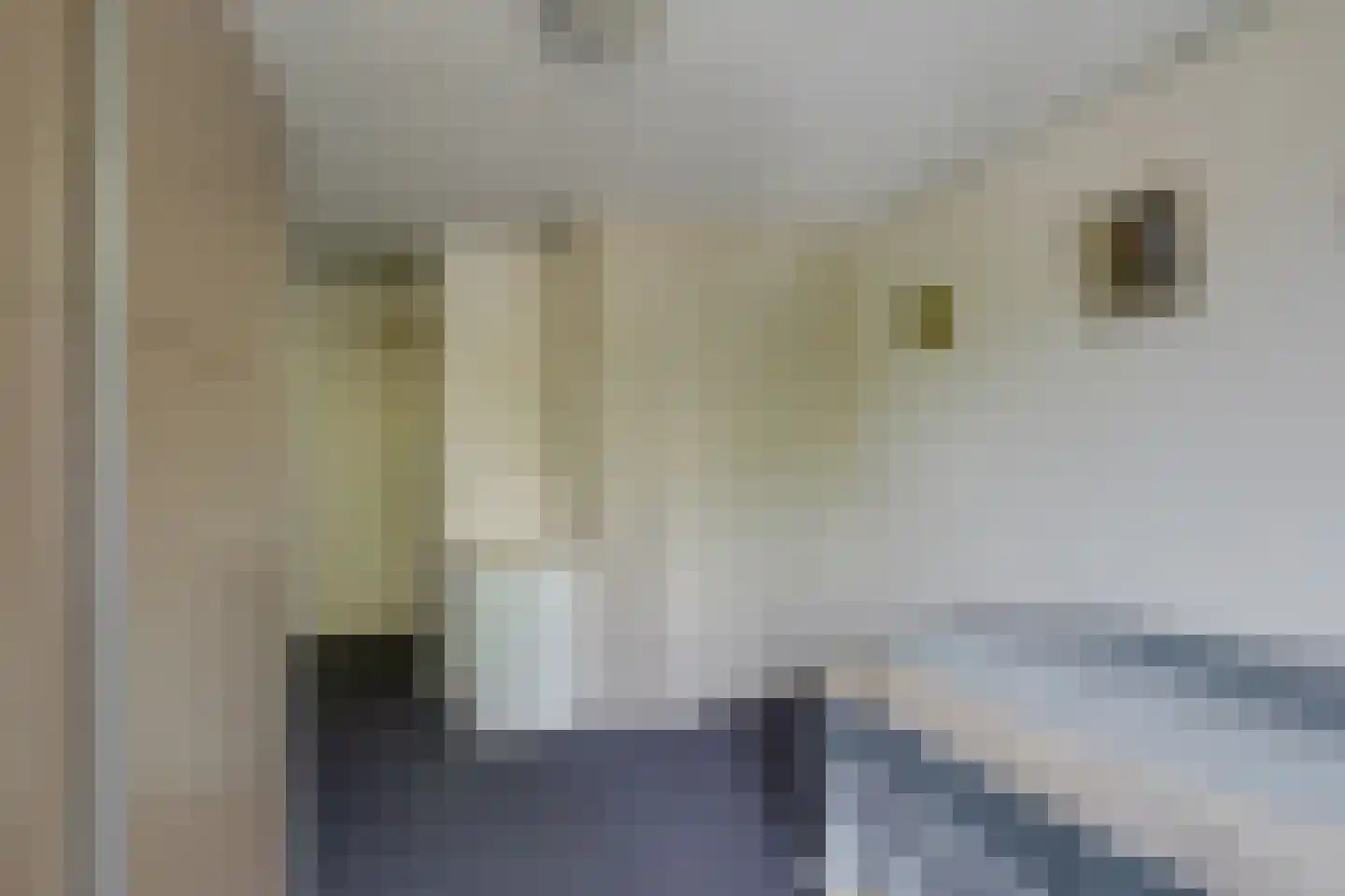 Godebaldstraat 25 Deventer thumbnail 32