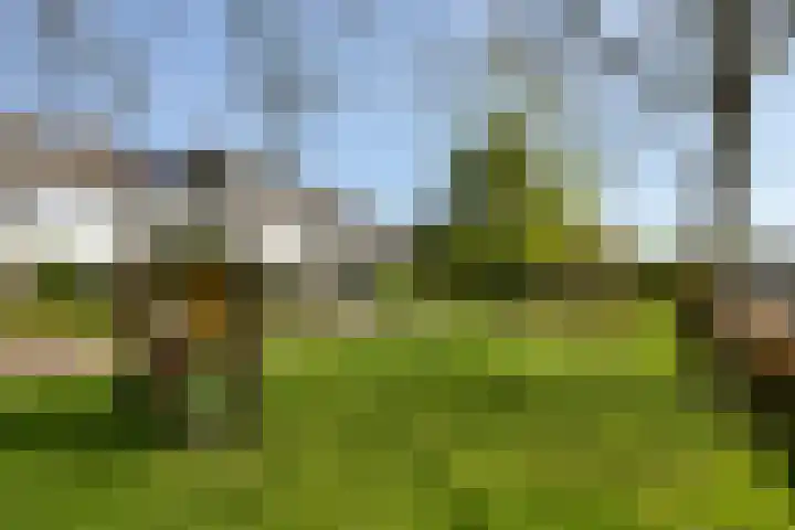 Godebaldstraat 32 Mijdrecht thumbnail 33