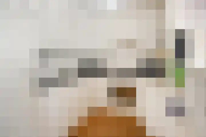 Godebaldstraat 9 Deventer thumbnail 18