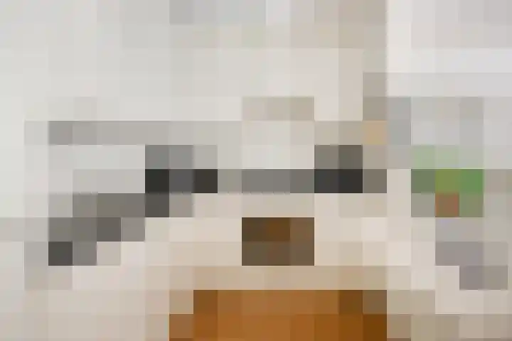 Godebaldstraat 9 Deventer thumbnail 19