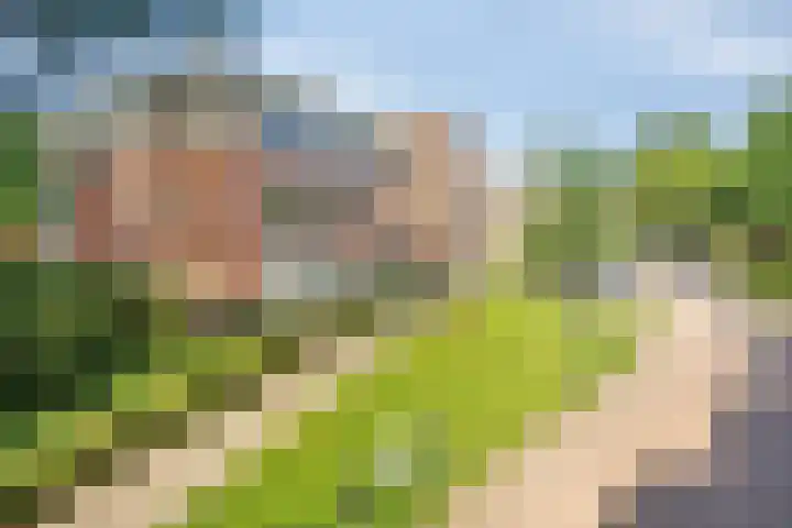 Godebaldstraat 9 Deventer thumbnail 31