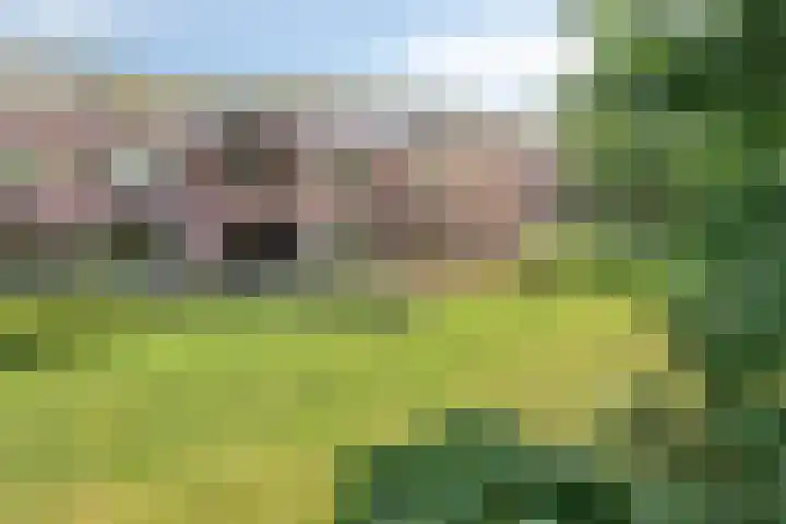 Godebaldstraat 9 Deventer thumbnail 5