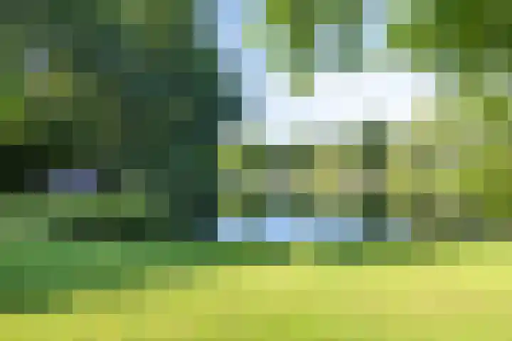 Godebaldstraat 9 Deventer thumbnail 6
