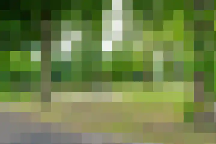 Godefridahof 2 Venray thumbnail 48