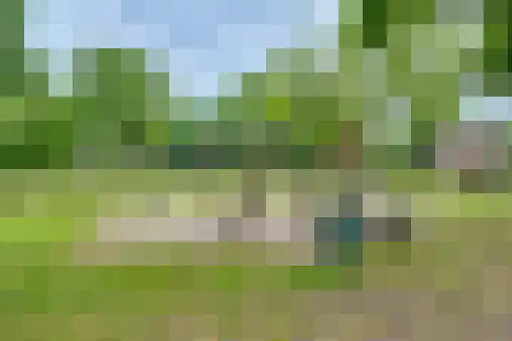 Godefridahof 2 Venray thumbnail 49