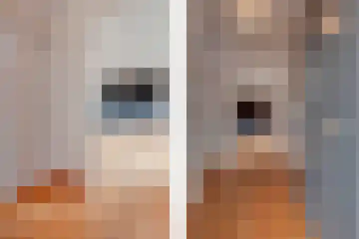 Godefridahof 2 Venray thumbnail 5