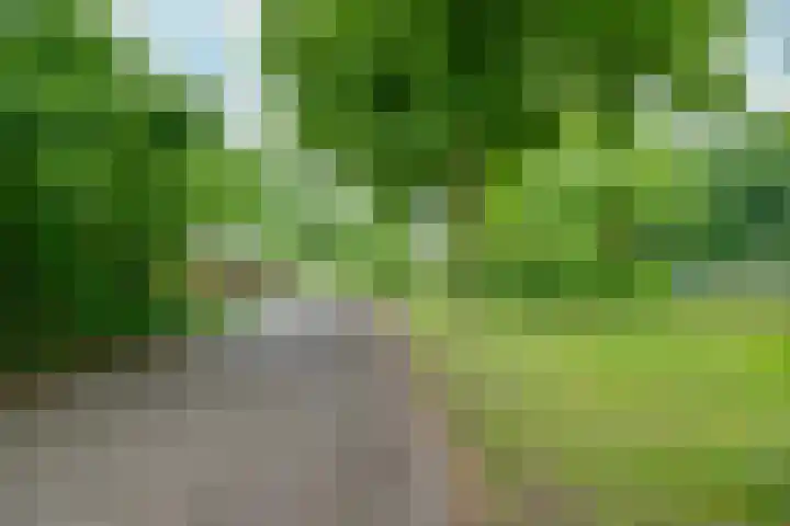 Godefridahof 2 Venray thumbnail 50