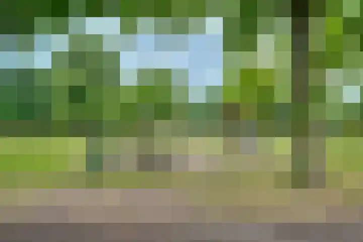 Godefridahof 2 Venray thumbnail 51