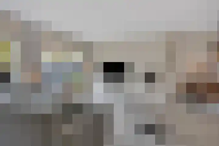 Godefriduslaan 16 Heerde thumbnail 11