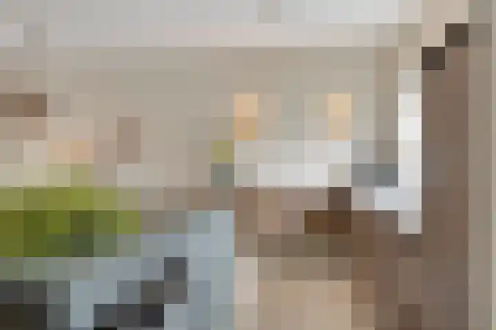 Godefriduslaan 16 Heerde thumbnail 20