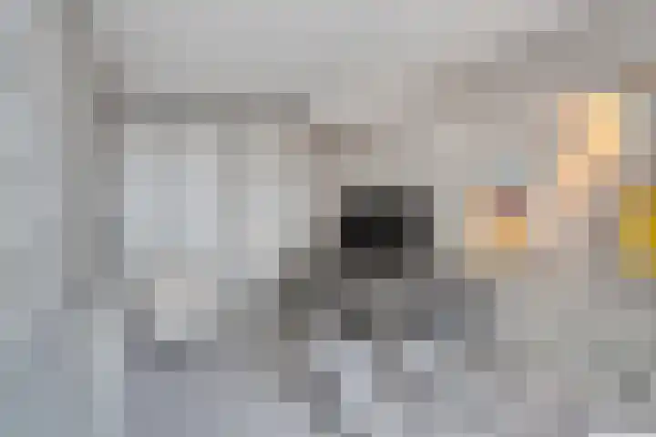Godefriduslaan 16 Heerde thumbnail 23