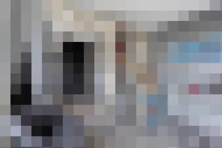 Godefriduslaan 16 Heerde thumbnail 32