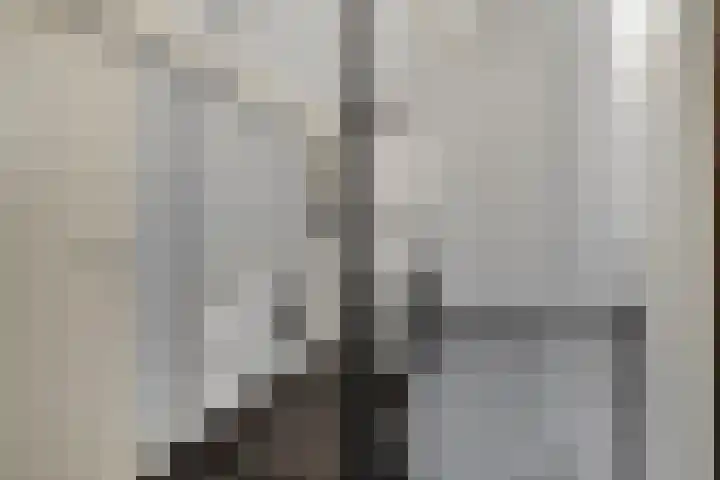 Godefriduslaan 16 Heerde thumbnail 35