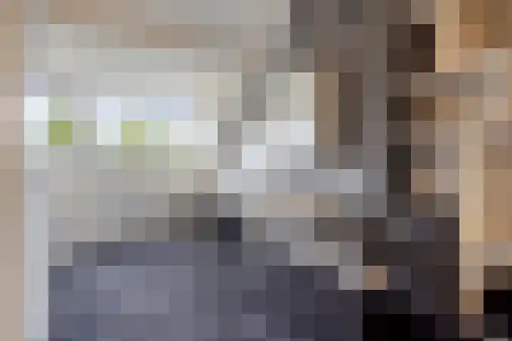 Godefriduslaan 16 Heerde thumbnail 38