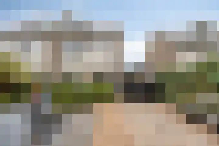 Godefriduslaan 16 Heerde thumbnail 42