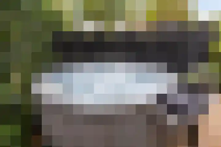 Godefriduslaan 16 Heerde thumbnail 45