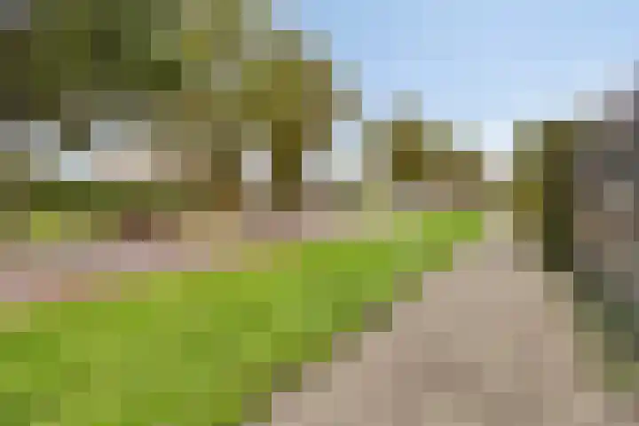 Godefriduslaan 16 Heerde thumbnail 53