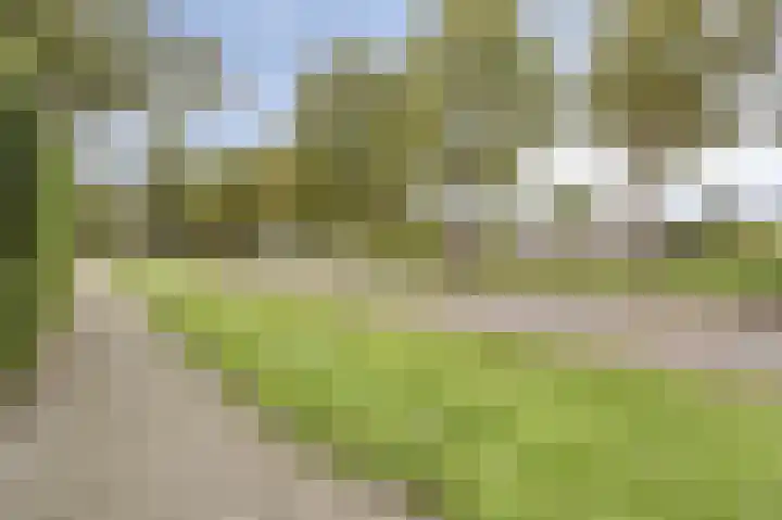 Godefriduslaan 16 Heerde thumbnail 54