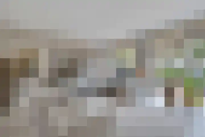 Godefriduslaan 16 Heerde thumbnail 9