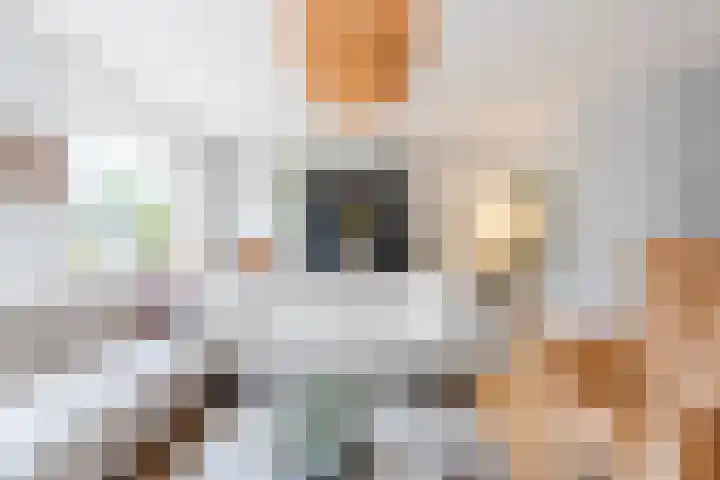Godefriduslaan 18 Heerde thumbnail 10