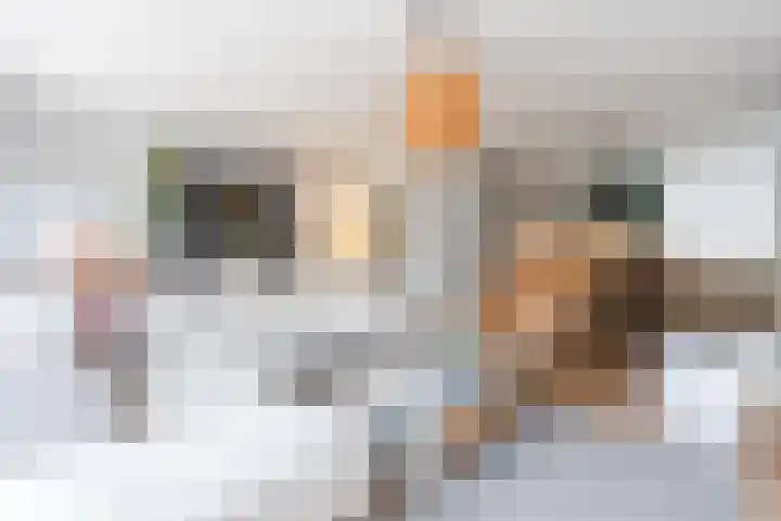 Godefriduslaan 18 Heerde thumbnail 11