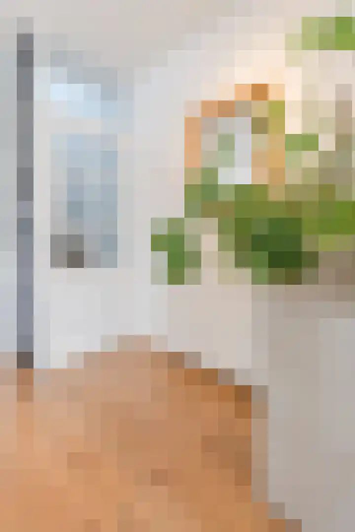 Godefriduslaan 18 Heerde thumbnail 14