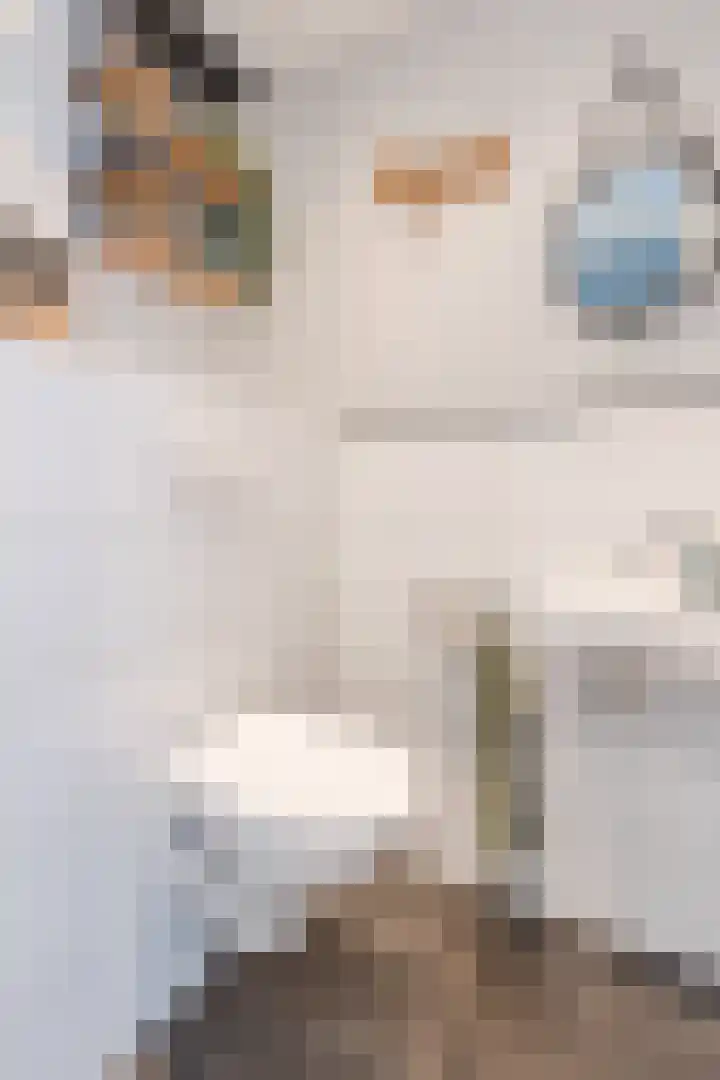 Godefriduslaan 18 Heerde thumbnail 15