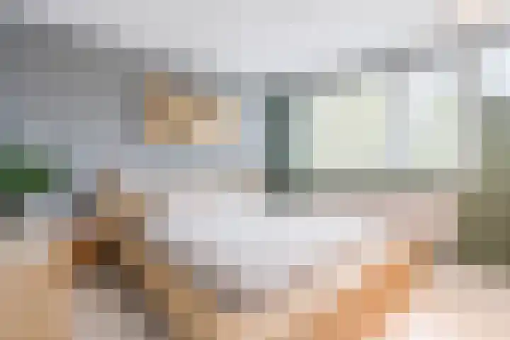 Godefriduslaan 18 Heerde thumbnail 17