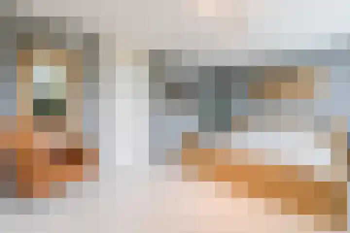 Godefriduslaan 18 Heerde thumbnail 18