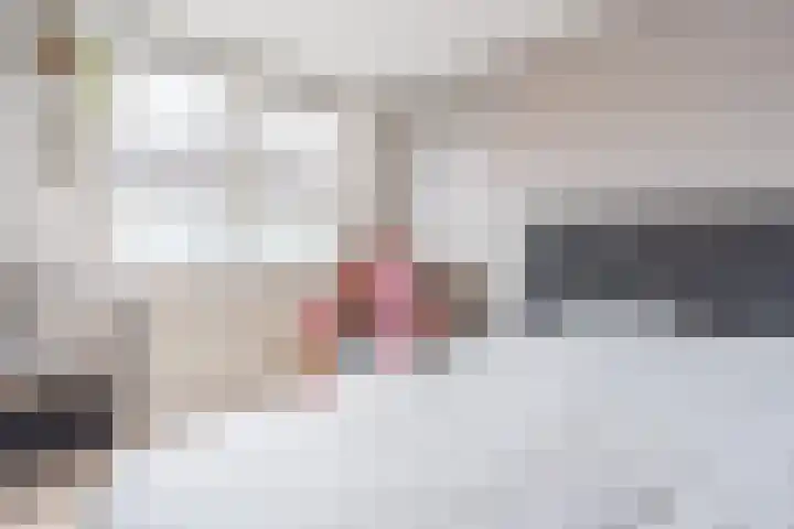 Godefriduslaan 18 Heerde thumbnail 20