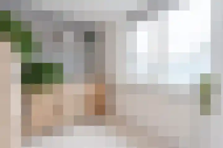 Godefriduslaan 18 Heerde thumbnail 23