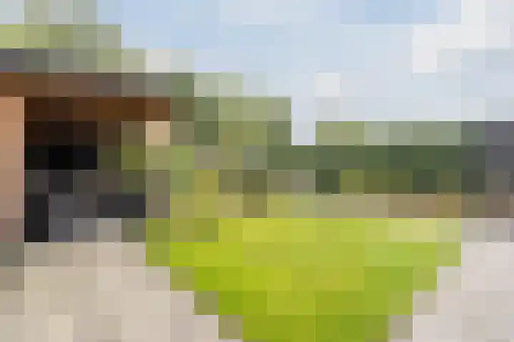 Godefriduslaan 18 Heerde thumbnail 39