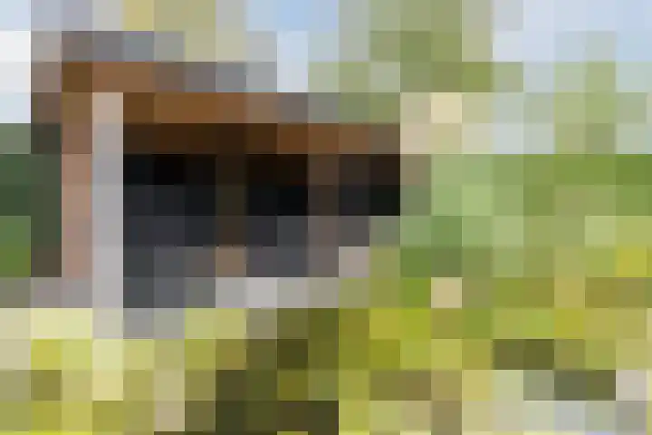 Godefriduslaan 18 Heerde thumbnail 40