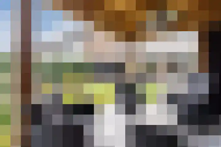 Godefriduslaan 18 Heerde thumbnail 42