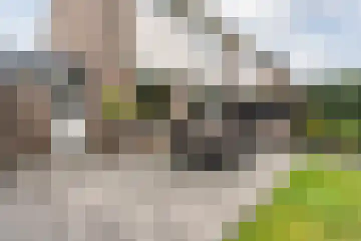 Godefriduslaan 18 Heerde thumbnail 43