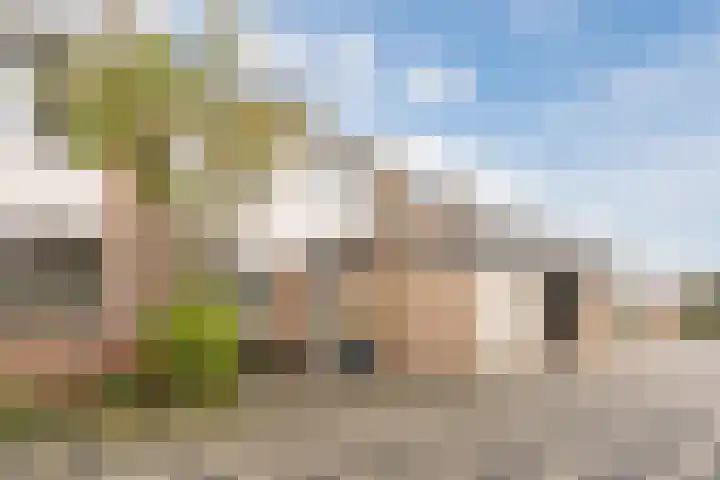 Godefriduslaan 18 Heerde thumbnail 48