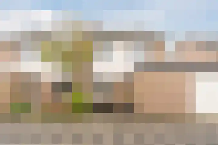 Godefriduslaan 18 Heerde thumbnail 49