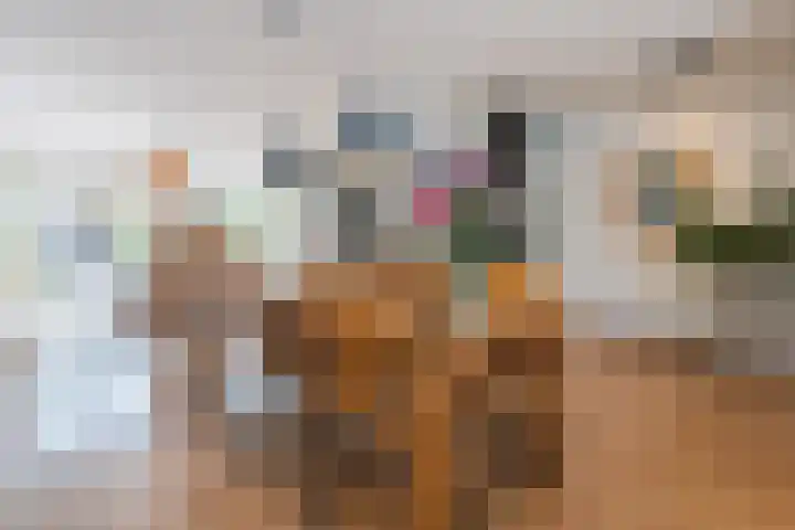 Godefriduslaan 18 Heerde thumbnail 6