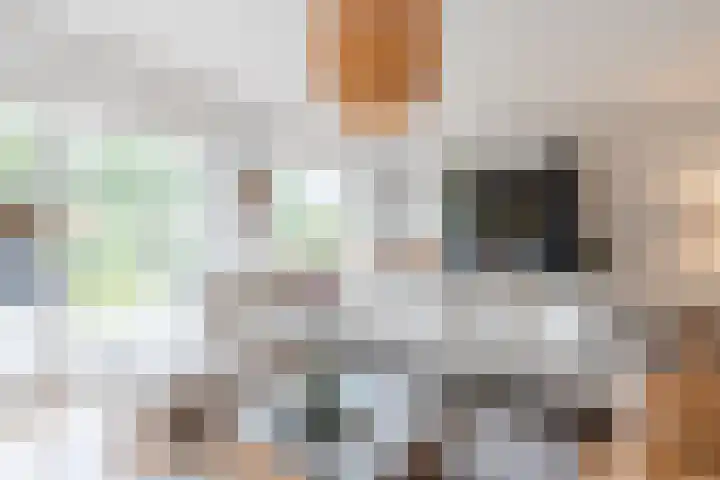Godefriduslaan 18 Heerde thumbnail 9