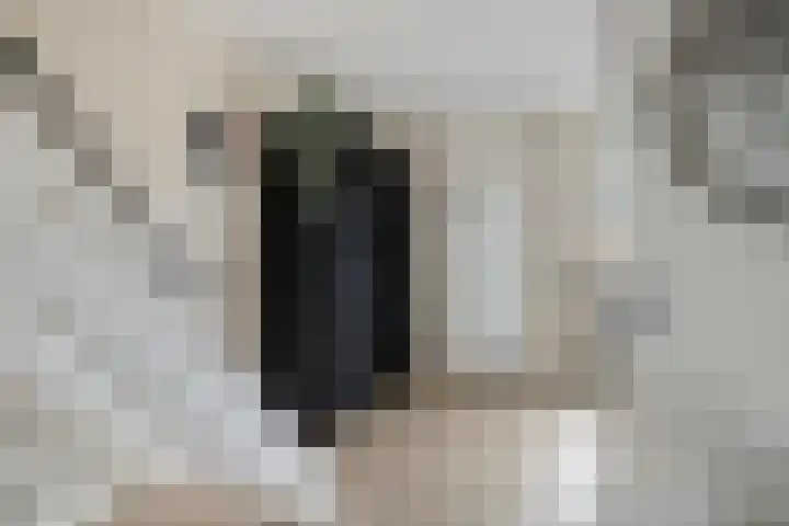 Godefriduslaan 21 Heerde thumbnail 12