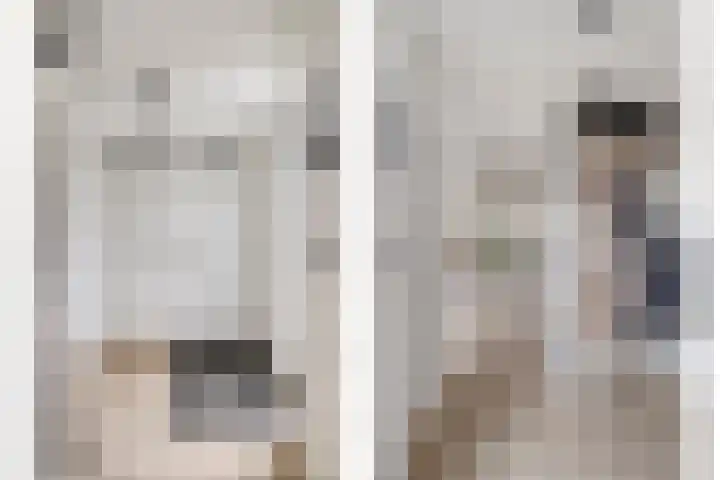 Godefriduslaan 21 Heerde thumbnail 13