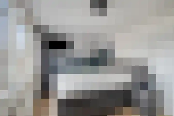 Godefriduslaan 21 Heerde thumbnail 17