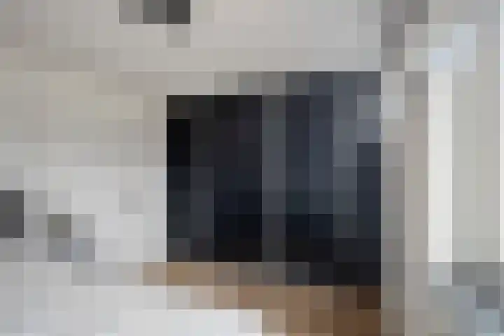 Godefriduslaan 21 Heerde thumbnail 18