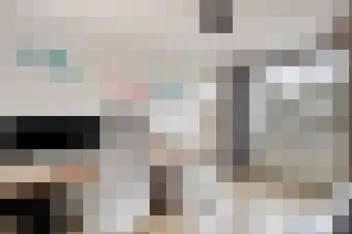 Godefriduslaan 21 Heerde thumbnail 19
